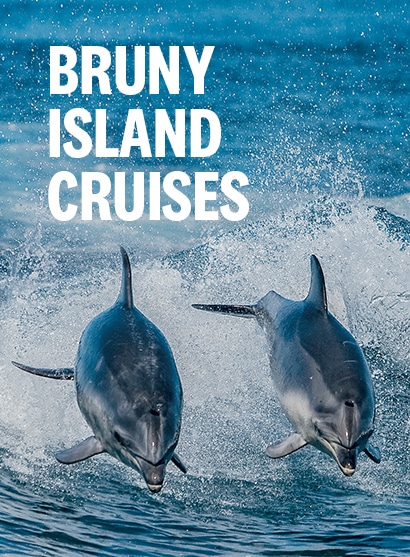 Bruny Island Cruises