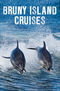 Bruny Island Cruises